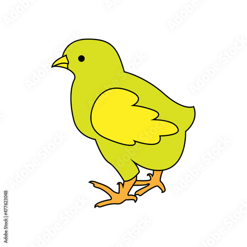 chicks, vector poultry farm Illustration on a white background