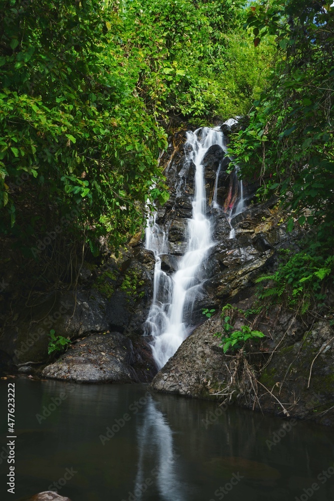 Obraz premium photo of waterfall in nature