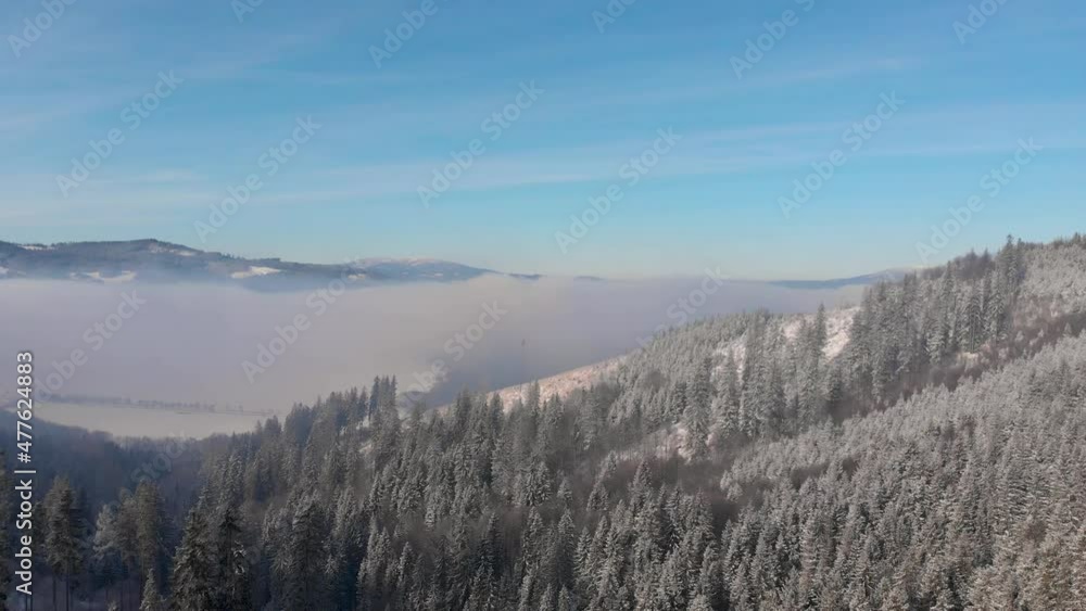 Backwards aerial flight over stunning winter forest landscape with cloud inversion Backwards aerial flight over stunning winter forest landscape with cloud inversion