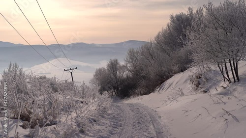 Rural winter road next to snowed in shrubs and power lines photo