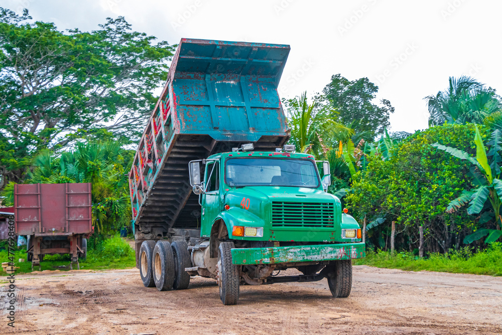 Dump tipper truck on in the jungle tropical nature Mexico.