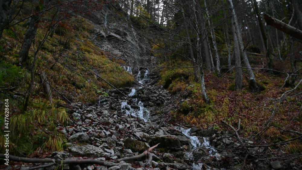Low angle view of fresh water flowing on steep mountain slope in pristine nature. Small stream flows downstream. Looking up, static shot, real time Low angle view of fresh water flowing on steep mountain slope in pristine nature. Small stream flows downstream. Looking up, static shot, real time