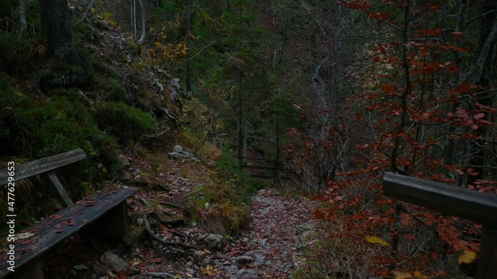 Hiking trail in pristine alpine gorge in Slovenia. Cold autumn season. Narrow canyon. Martuljek valley. Tilt up Hiking trail in pristine alpine gorge in Slovenia. Cold autumn season. Narrow canyon. Martuljek valley. Tilt up