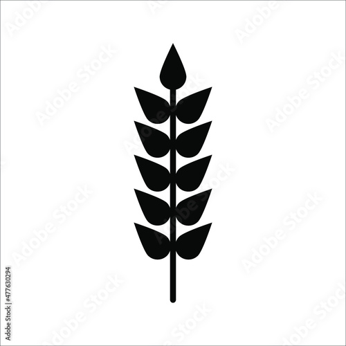 Farm wheat ears icon vector template. color editable on white background. eps 10