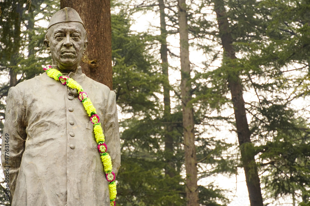 Fototapeta premium jawaharlal nehru statue in india
