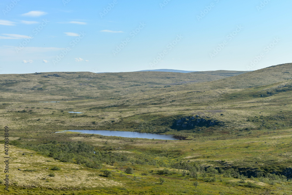 The wide and immense expanses of tundra in the north of Russia on a summer day.