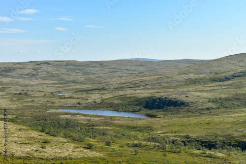 The wide and immense expanses of tundra in the north of Russia on a summer day.