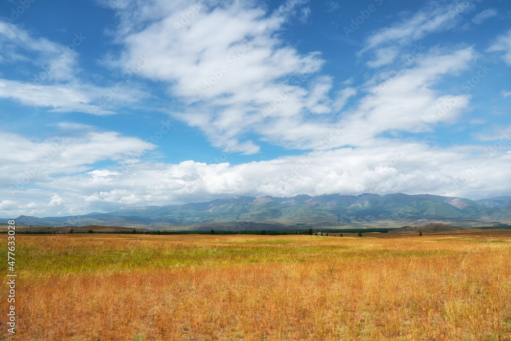 Bright autumn steppe landscape. Steppe on the background of mountains. Background of agricultural field and mountains.