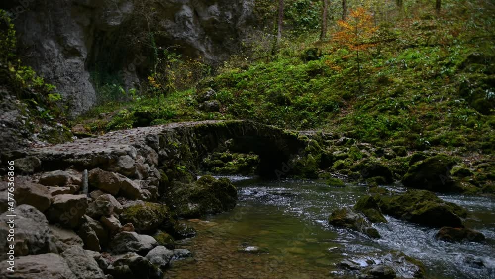 Calm river flowing in pristine natural gorge. Karst landscape in Slovenia. Valley and a landscape park Rak Škocjan. Small man made bridge over calm stream. First Slovenian regional park. Static shot Calm river flowing in pristine natural gorge. Karst landscape in Slovenia. Valley and a landscape park Rak Škocjan. Small man made bridge over calm stream. First Slovenian regional park. Static shot