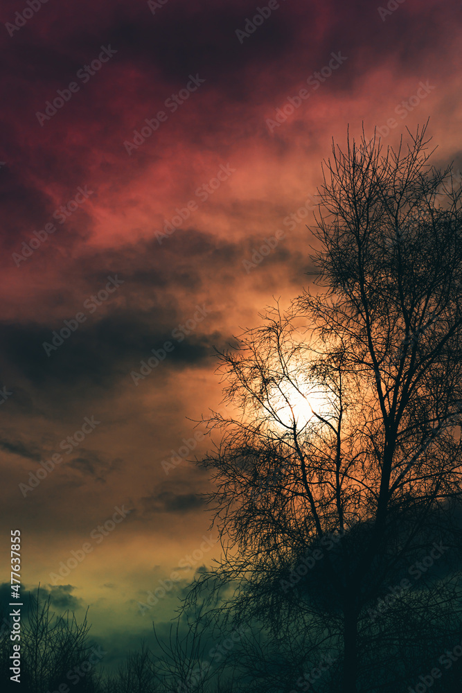 silhouette of a tree with the sun in the background with dark clouds