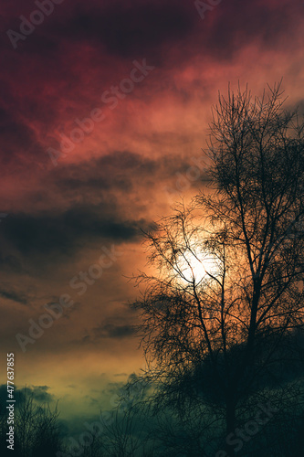 silhouette of a tree with the sun in the background with dark clouds