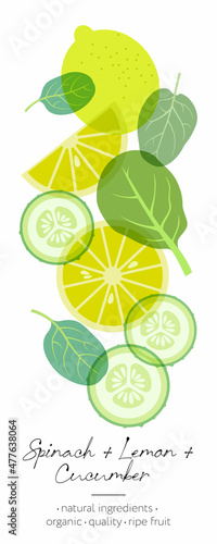 Vegetables, fruit and herb detox. Cucumber, lemon and spinach mix. Beautiful transparency whole and cut fruits.