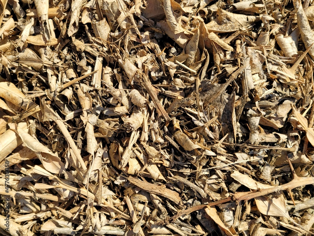 Crushed tangerine tree, Dried tangerine tree Crushed tangerine tree, Dried tangerine tree