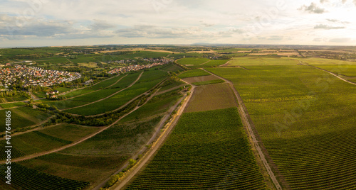 Drohnen Luftaufnahme der Weinberge am Roten Hang bei Nierstein und Oppenheim im Sommer beim Sonnenuntergang, Rheinland-Pfalz Deutschland