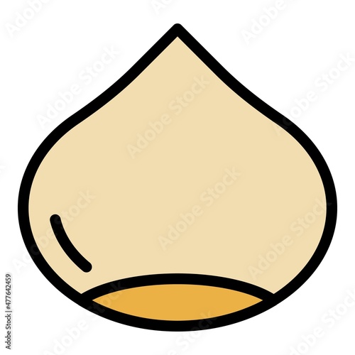 Dry chetnut icon. Outline dry chetnut vector icon color flat isolated