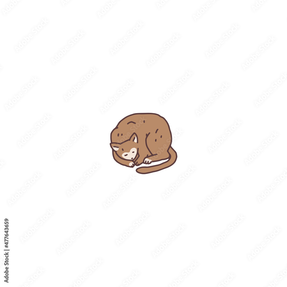 Cat domestic animal sleep. Pet outline doodle vector illustration. Cat domestic animal sleep. Pet outline doodle vector illustration.