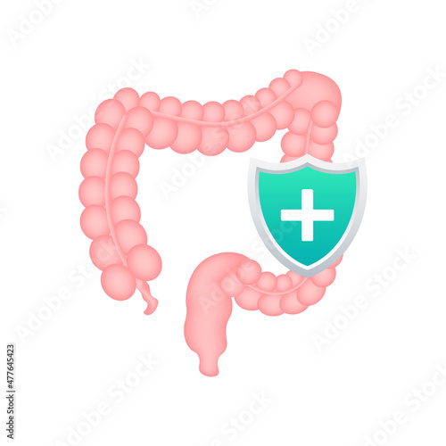 Intestines protection, Healthy protected intestine. Digestive system protection. Vector stock illustration.