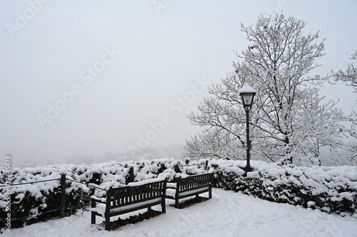 Beautiful snowy landscape. Winter nature - seasonal concept.