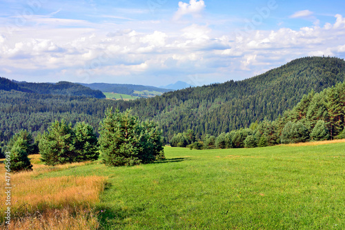 Summer landscape in the mountains with green meadows and forested hills, Low Beskids (Beskid Niski), Poland 