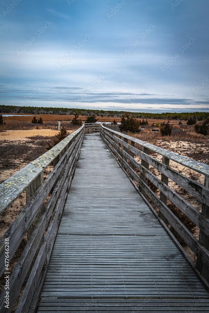 Rustic lichen-covered wooden boardwalk access to the beach over the swampy wilderness in Mashpee, Massachusetts