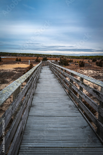 Rustic lichen-covered wooden boardwalk access to the beach over the swampy wilderness in Mashpee, Massachusetts © Naya Na