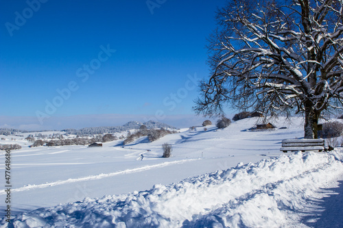 verschneite Winterlandschaft in den Allgäuer Bergen