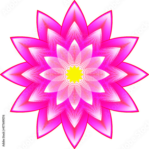 Flower Lotus red  geometric pattern  vector.