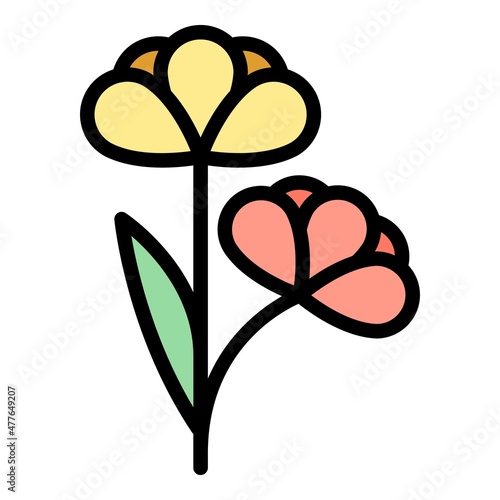Bio canola flower icon. Outline bio canola flower vector icon color flat isolated