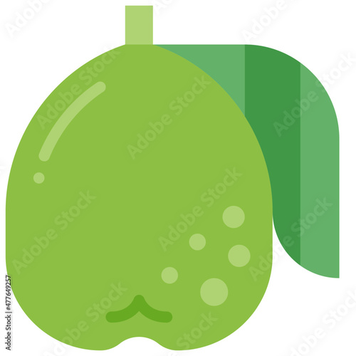 guava flat icon