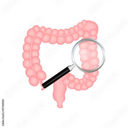 Intestines seeing and protection, Healthy protected intestine. Digestive system protection. Vector stock illustration.