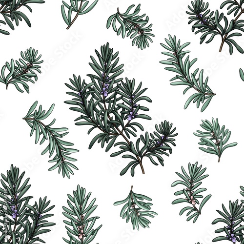 seamless pattern of textile rosemary branches on white background