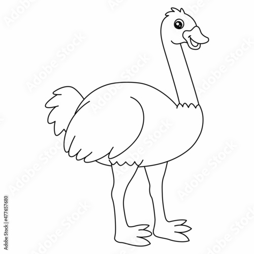 Ostrich Coloring Page Isolated for Kids