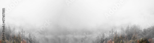 Amazing mystical rising fog sky forest snow snowy trees landscape snowscape in black forest ( Schwarzwald ) winter, Germany panorama banner - mystical snow mood..