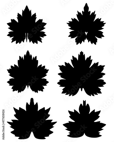 maple leaves collection svg vector illustration