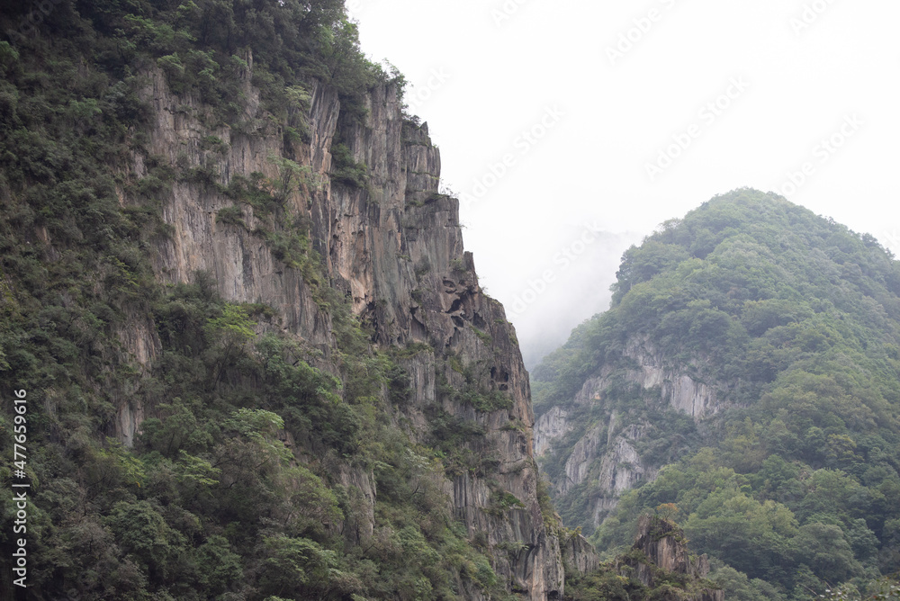 Giant Panda bamboo forests in the Minshan Mountains of Sichuan, China Giant Panda bamboo forests in the Minshan Mountains of Sichuan, China