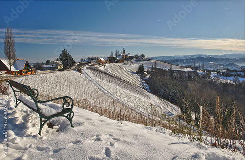 Winter,sunny landscape with South Styrian vineyards, known as Austrian Tuscany, a charming region on the border between Austria and Slovenia with rolling hills, picturesque villages and wine taverns.