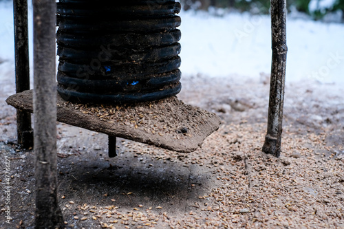 Manger for winter feeding of wild animals in forest. Forest animal feeder in winter. Defocused photo