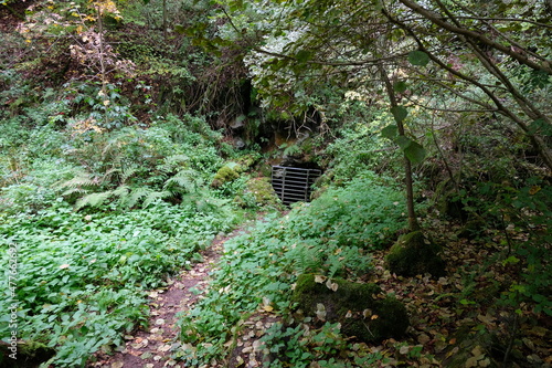 FU 2020-10-17 Gerolstein 192 Der Weg im Wald führt zu einem Metallgitter