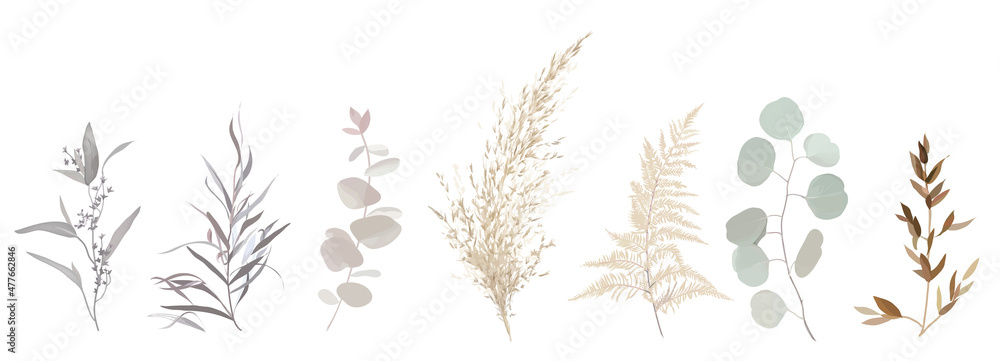 Mix of herbs and plants vector big collection. - obrazy, fototapety, plakaty 