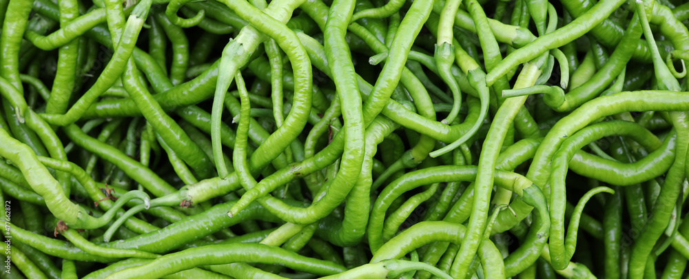 close-up organic and fresh green chillies close-up organic and fresh green chillies