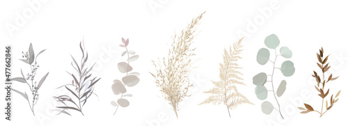 Mix of herbs and plants vector big collection.