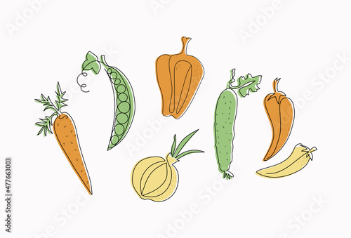 One line drawn vegetables set. Sketch drawing in line art style. Black outline and colored spots. Vegetarian products, agriculture. Vector illustration.