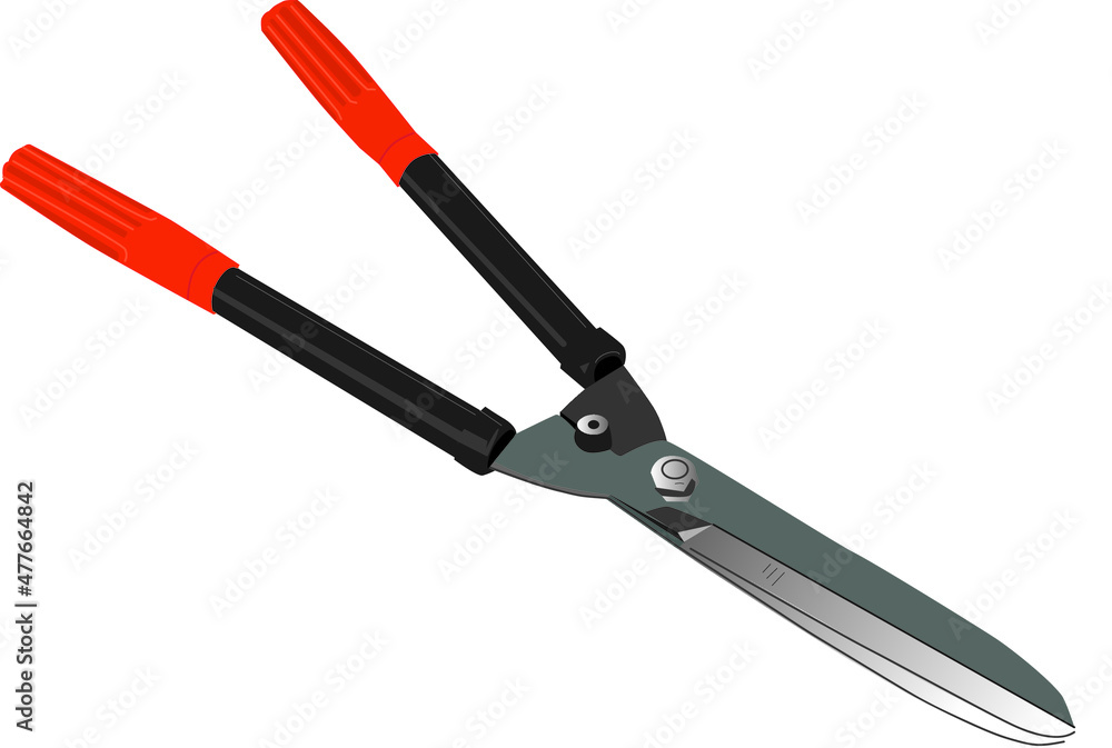 scissors isolated on white background scissors isolated on white background