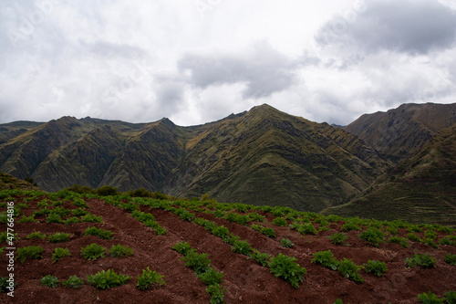 Views of Andean terraces (used for cultivation and farming by the Incas) in the Sacred Valley, Peru