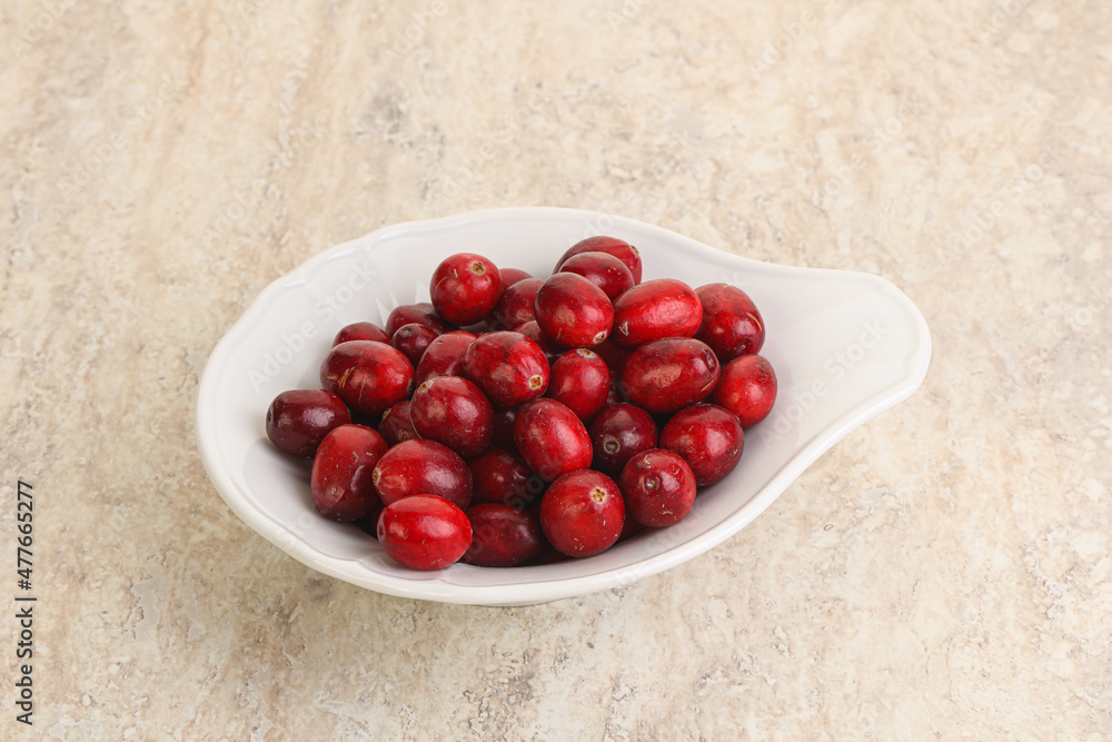Ripe sweet tasty cranberry in the bowl Ripe sweet tasty cranberry in the bowl