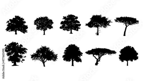 set of detailed trees silhouettes