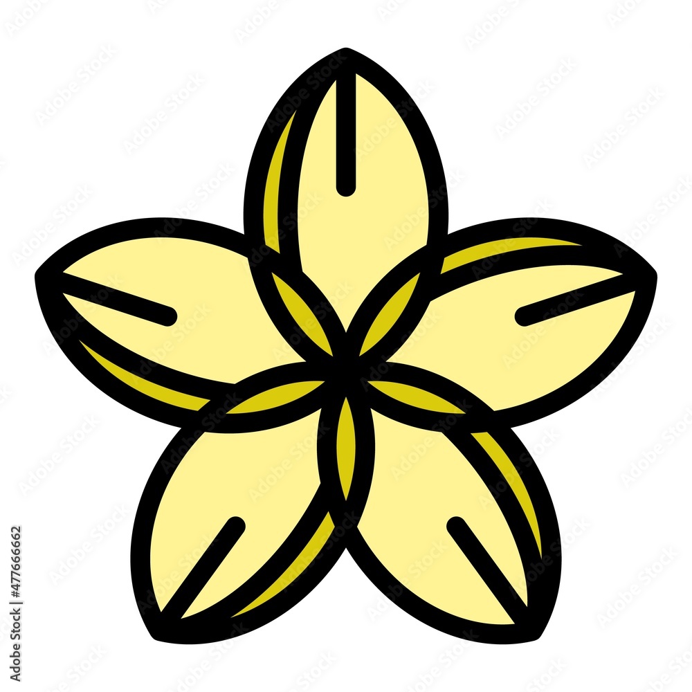 Fotografie Plumeria bloom icon