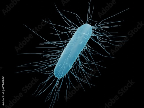 Clostridium difficile bacteria (isolated), 3d illustration