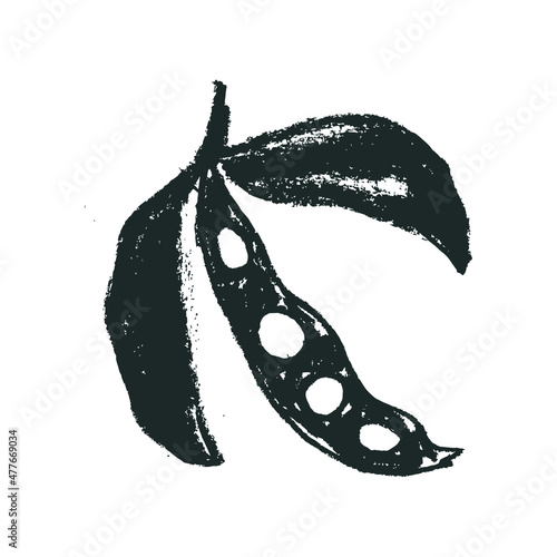 Hand-drawn Soybean drawing for Soy sauce label design. Whole pea pod illustration. Green Beans icon. Vegan restaurant logo, vegetarian healthy food banner. Organic food sign. Pencil texture — soybeans