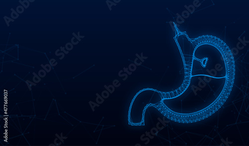 Stomach endoscopy. Endoscope in stomach through esophagus. Vector stock illustration